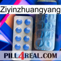 Ziyinzhuangyang 40